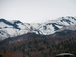 e0004756_204331.jpg