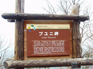 e0004756_20551446.jpg