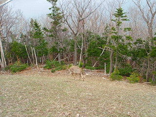 e0004756_2142833.jpg