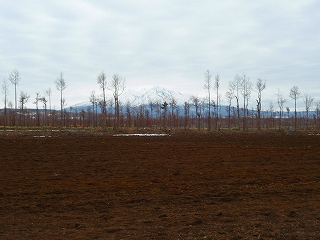 e0004756_21471740.jpg