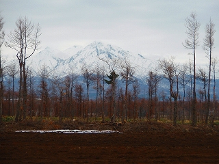 e0004756_214850100.jpg
