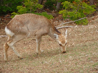 e0004756_2151331.jpg