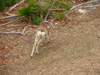 e0004756_2153956.jpg
