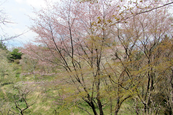 f0007956_21125250.jpg