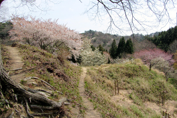 f0007956_2137975.jpg