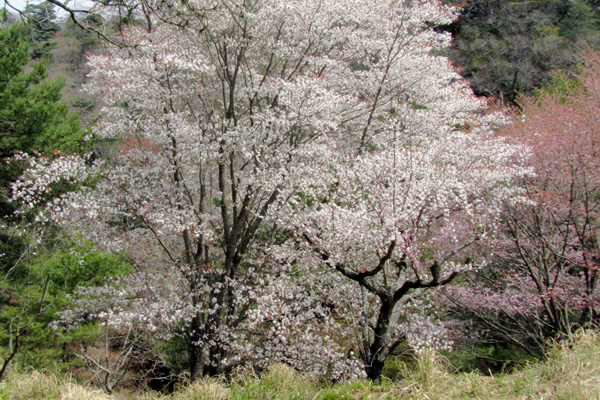 f0007956_2181033.jpg