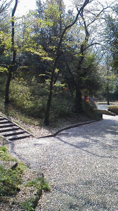 d0038458_16493490.jpg