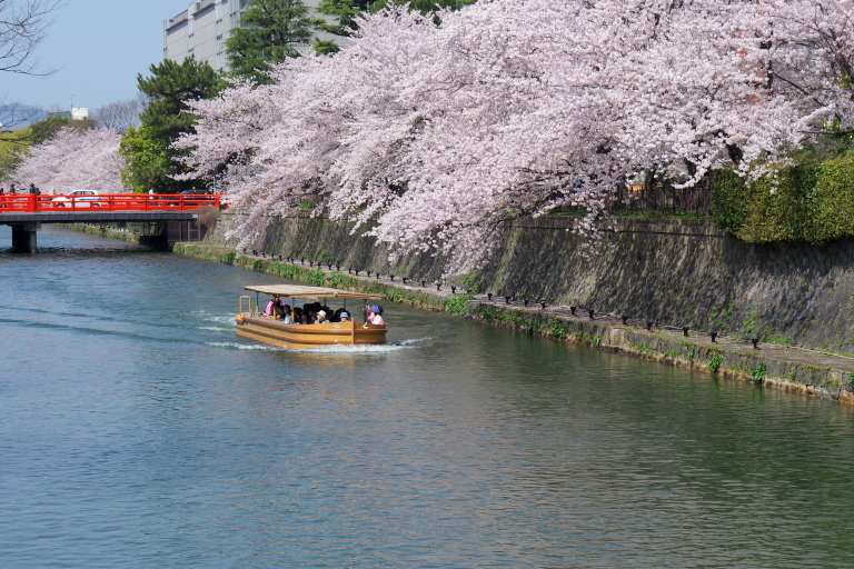 京都旅行　初日その1　　2012-4-12　　インクライン～平安神宮_d0237959_13192599.jpg