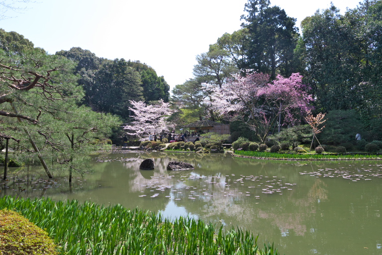 京都旅行　初日その1　　2012-4-12　　インクライン～平安神宮_d0237959_13212076.jpg