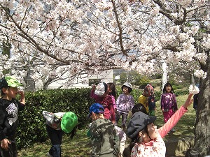 おひさまがいつもよりまぶしい、あさ　～春のおとずれ～_c0133361_19175499.jpg