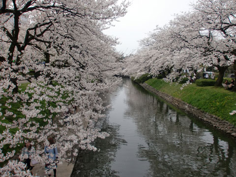 b0066762_23121137.jpg