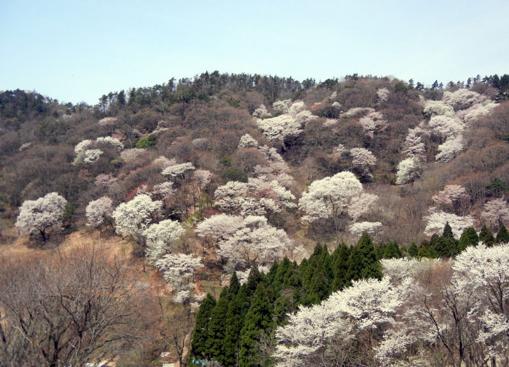 b0129962_17533052.jpg