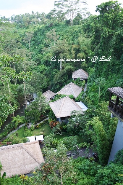 Maya Ubud Spa&Resorts_b0190964_185519.jpg