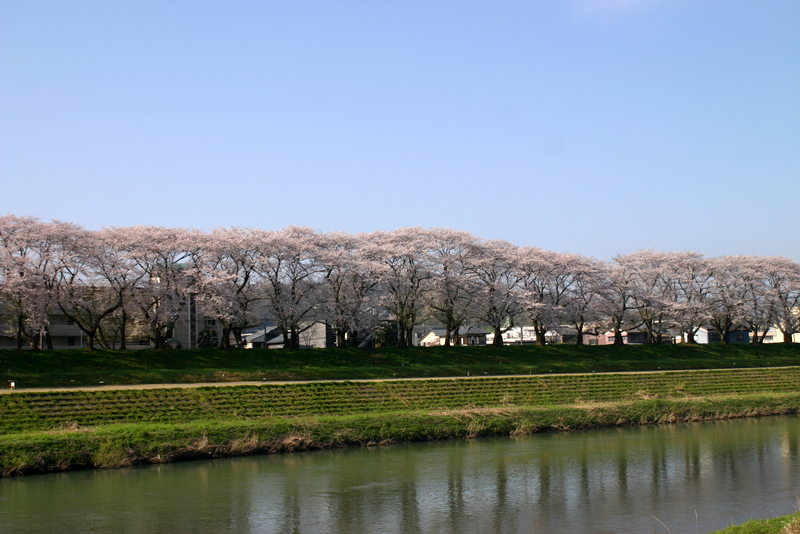c0087867_23182391.jpg