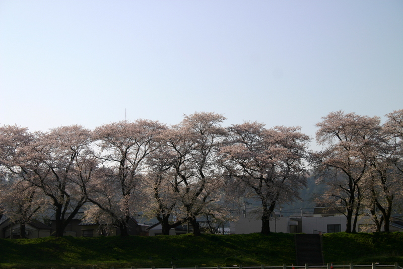 c0087867_23184175.jpg