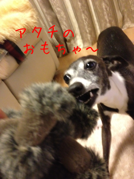 f0223972_1111498.png