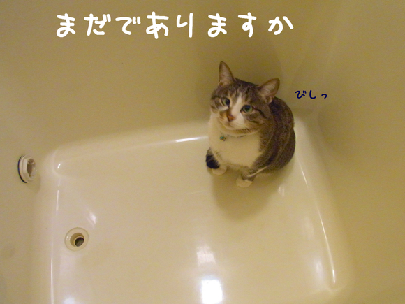 c0126176_9453820.jpg