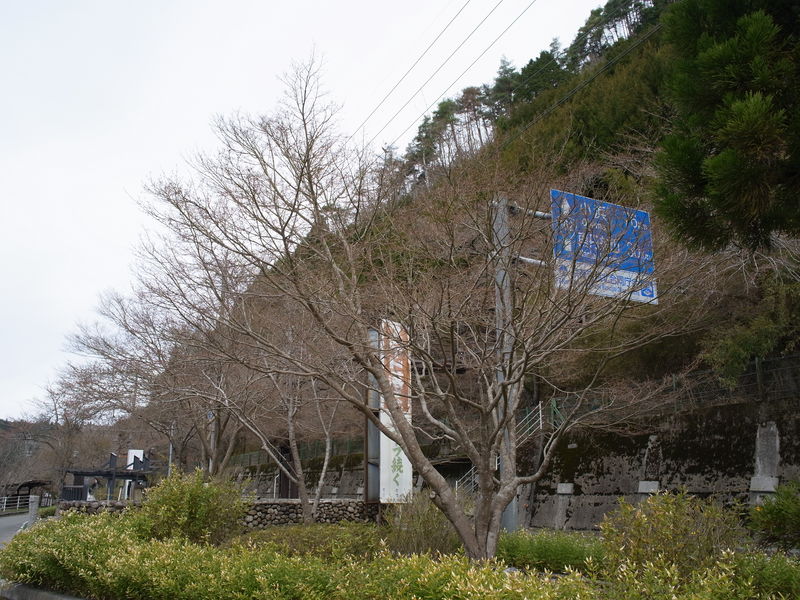 c0177576_10452064.jpg
