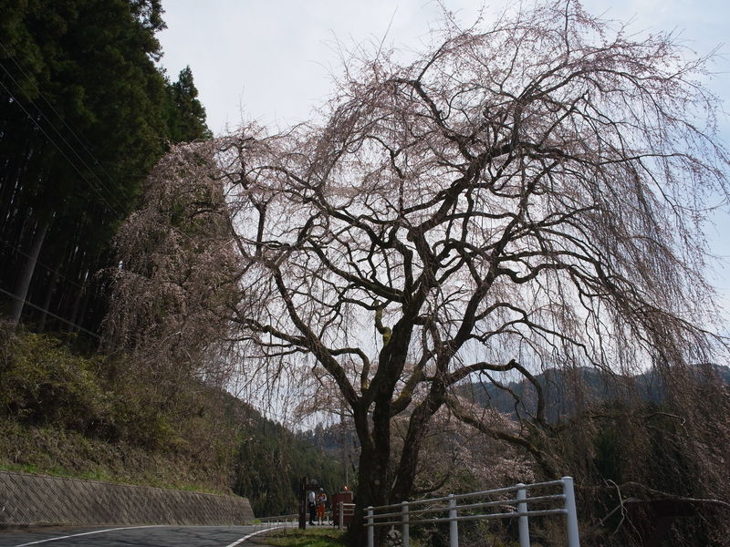 c0177576_11142481.jpg