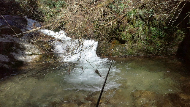 e0275078_94116.jpg