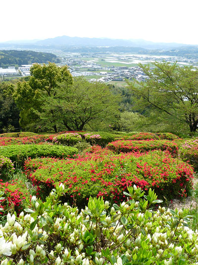 c0152779_15172879.jpg