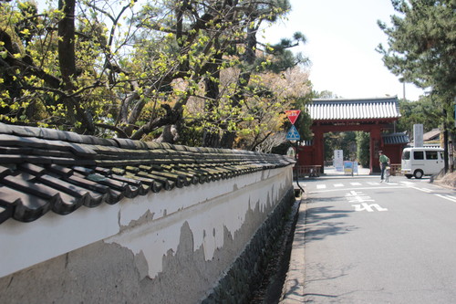 e0024081_814307.jpg