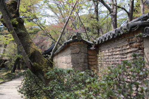 e0024081_824341.jpg