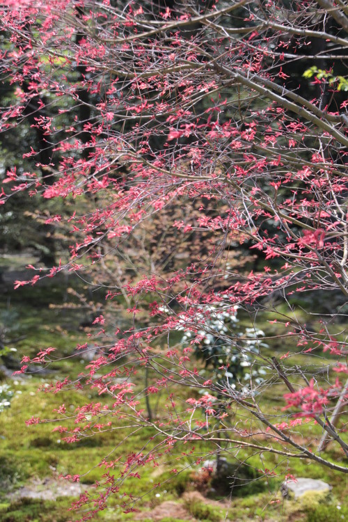 e0024081_8245712.jpg