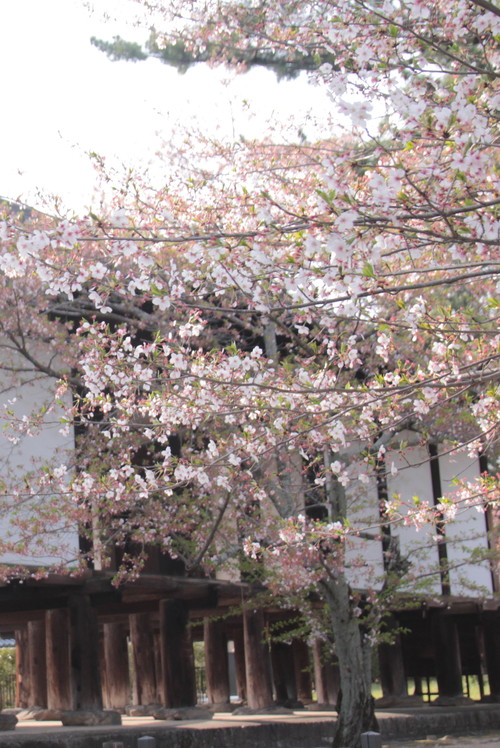 e0024081_8483015.jpg