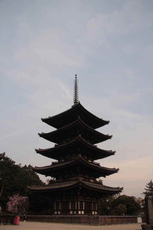 e0024081_8564037.jpg