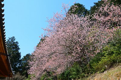 c0229483_910246.jpg