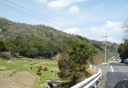 d0179983_18511010.jpg