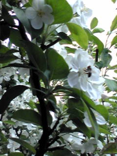 b0206784_15535028.jpg