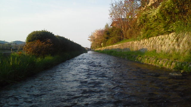 b0157386_17265997.jpg