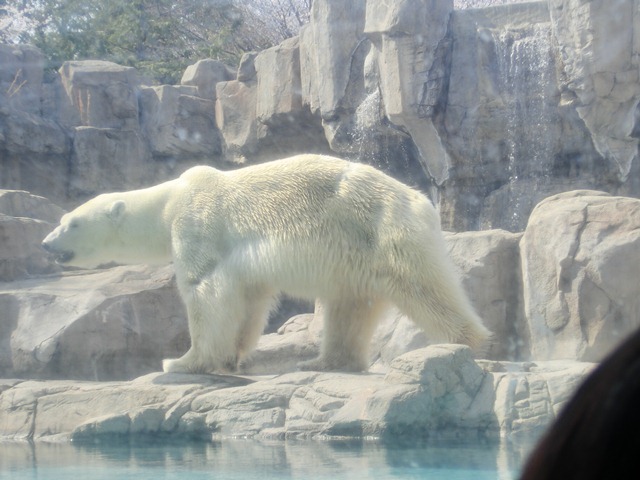 d0181492_2051411.jpg