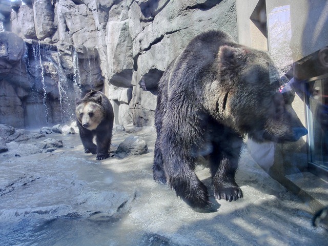 d0181492_2072475.jpg