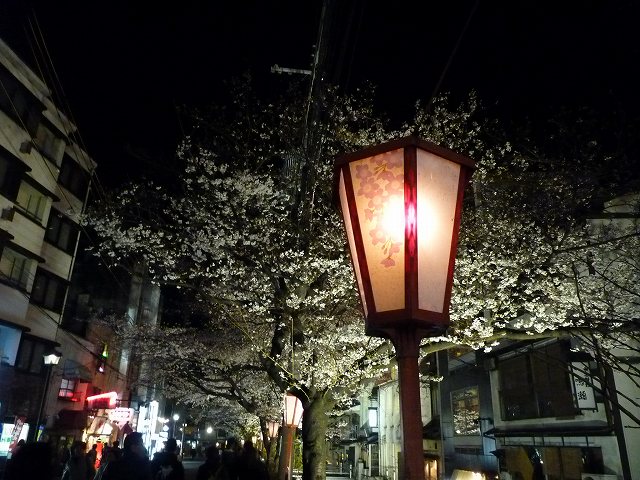 夜桜見物～木屋町から円山公園へ～_e0061694_18562977.jpg