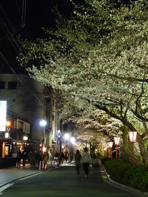 夜桜見物～木屋町から円山公園へ～_e0061694_18575983.jpg