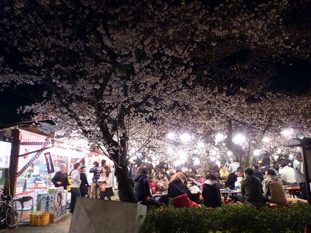 夜桜見物～木屋町から円山公園へ～_e0061694_199066.jpg