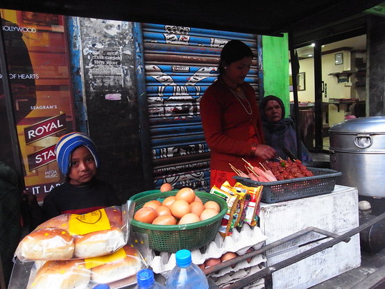 Poon hill trek 　7_e0111396_18135441.jpg