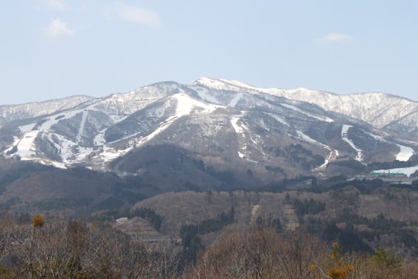 c0117597_233164.jpg