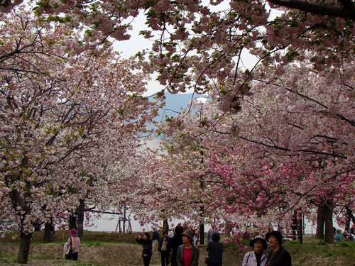 a0047200_8262098.jpg