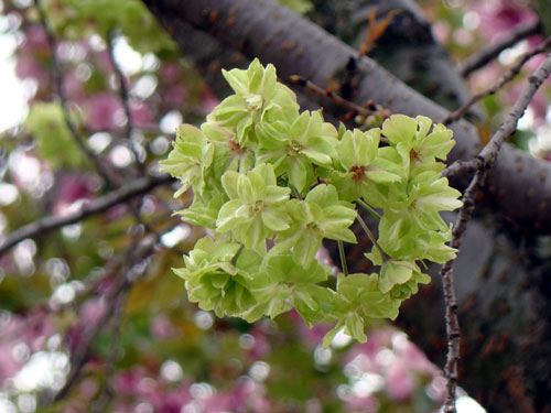 a0047200_826338.jpg