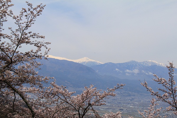 山の神千本桜 山之神社 に参拝すればご利益ありそうです ヤッホー 今日はどちらへ 山の神千本桜 山之神社 に参拝すればご利益ありそうです ヤッホー 今日はどちらへ