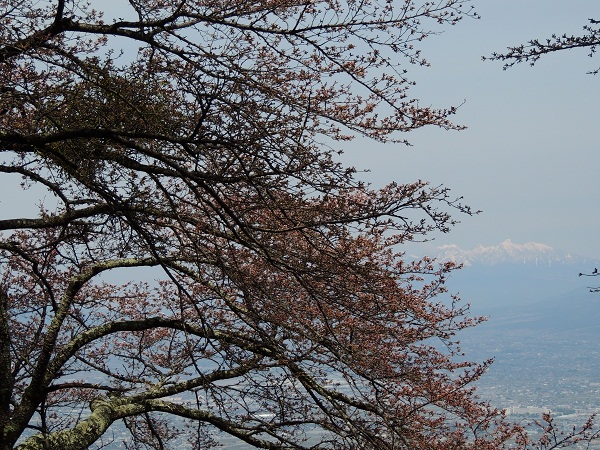 山の神千本桜 山之神社 に参拝すればご利益ありそうです ヤッホー 今日はどちらへ 山の神千本桜 山之神社 に参拝すればご利益ありそうです ヤッホー 今日はどちらへ