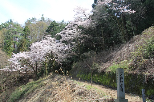 山の神千本桜 山之神社 に参拝すればご利益ありそうです ヤッホー 今日はどちらへ 山の神千本桜 山之神社 に参拝すればご利益ありそうです ヤッホー 今日はどちらへ