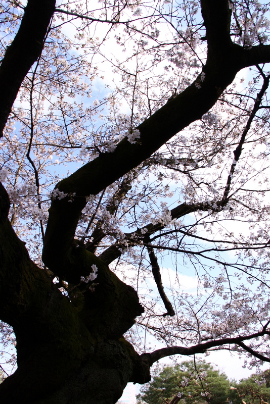 d0248502_9572092.jpg