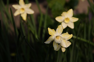 a0123003_21485547.jpg