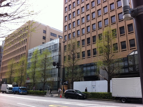 デビ夫人裁判は高裁も敗訴、そしてイチョウの若葉_d0054704_0495032.jpg