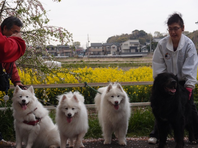 初めてのお客様～♥　　4月19日　[木]_e0018604_20102169.jpg